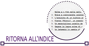 Ritorna all'indice